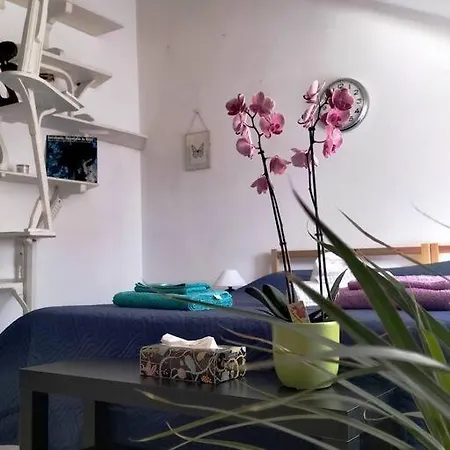 La Casa Di Marta - Ampia Ed Accogliente Mansarda In Piazza Statuto Apartment *