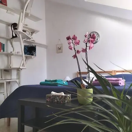 La Casa Di Marta - Ampia Ed Accogliente Mansarda In Piazza Statuto Apartment